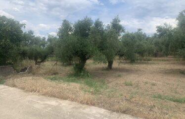 Οικόπεδο Αντικαλαμος