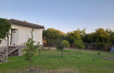 ΜΟΝΟΚΑΤΟΙΚΙΑ ΒΕΛΙΚΑ