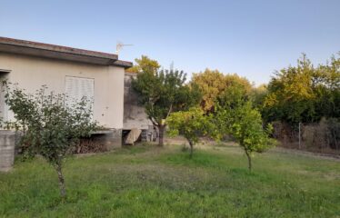 ΜΟΝΟΚΑΤΟΙΚΙΑ ΒΕΛΙΚΑ