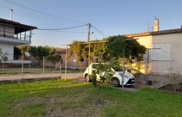 ΜΟΝΟΚΑΤΟΙΚΙΑ ΒΕΛΙΚΑ