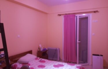 ΜΟΝΟΚΑΤΟΙΚΙΑ ΒΕΛΙΚΑ