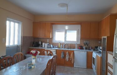 ΜΟΝΟΚΑΤΟΙΚΙΑ ΒΕΛΙΚΑ