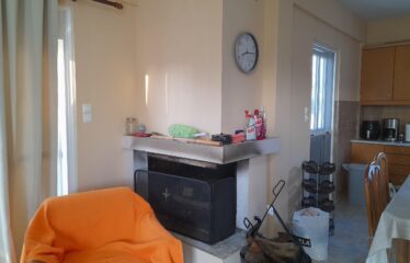 ΜΟΝΟΚΑΤΟΙΚΙΑ ΒΕΛΙΚΑ