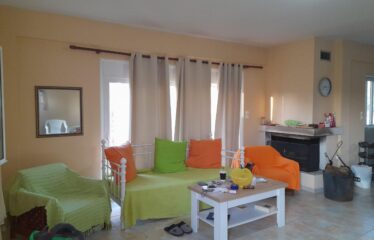 ΜΟΝΟΚΑΤΟΙΚΙΑ ΒΕΛΙΚΑ