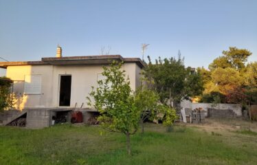 ΜΟΝΟΚΑΤΟΙΚΙΑ ΒΕΛΙΚΑ