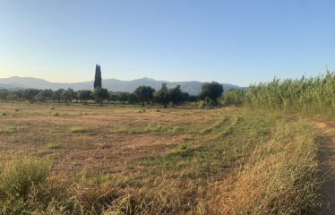 Αγροτεμάχιο Ζευγολατιό