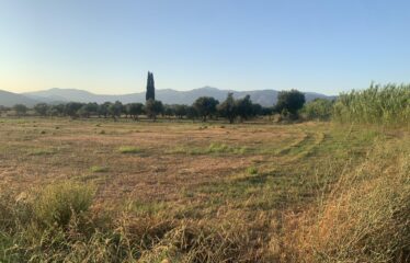 Αγροτεμάχιο Ζευγολατιό