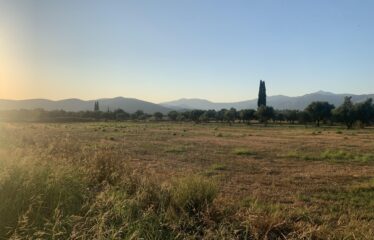 Αγροτεμάχιο Ζευγολατιό