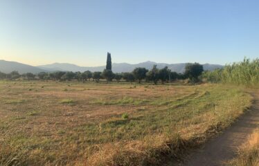 Αγροτεμάχιο Ζευγολατιό