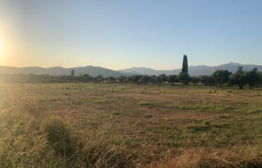 Αγροτεμάχιο Ζευγολατιό