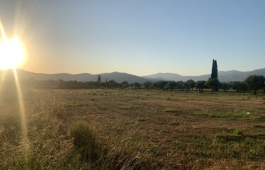 Αγροτεμάχιο Ζευγολατιό