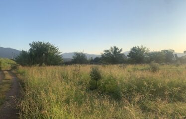 Αγροτεμάχιο Ζευγολατιό