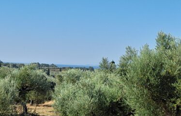 Οικοπεδο μαδαινα