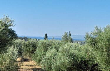 Οικοπεδο μαδαινα