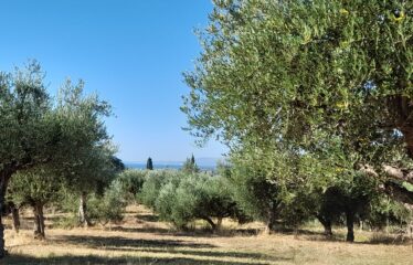 Οικοπεδο μαδαινα