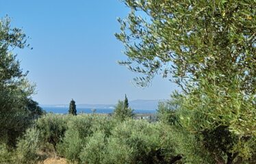 Οικοπεδο μαδαινα