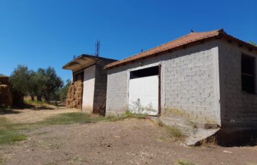 Αγροτεμάχιο Βουρνάζι με κτήρια