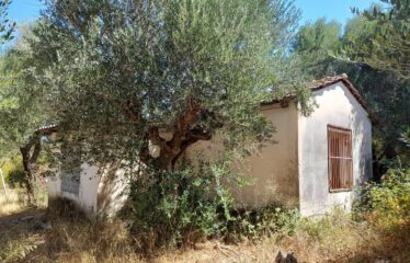 Αγροτεμάχιο Βουρνάζι με κτήρια