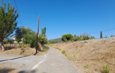 Μονοκατοικία Καλλιρόη Οιχαλίας