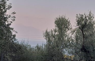 Οικόπεδο Λογγά