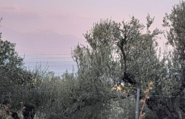 Οικόπεδο Λογγά