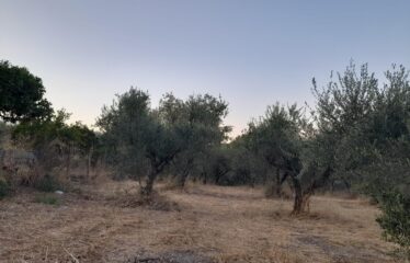 Οικόπεδο Λογγά