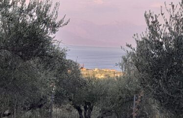 Οικόπεδο Λογγά