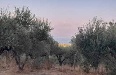 Οικόπεδο Λογγά