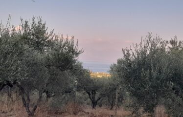 Οικόπεδο Λογγά