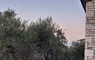 Οικόπεδο Λογγά