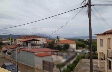 Μαιζονέτα Σχινόλακκα