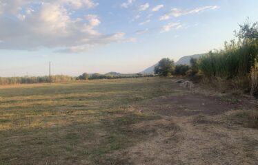 Ζευγολατιό