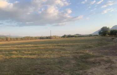 Ζευγολατιό