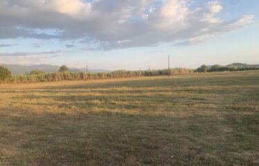 Ζευγολατιό