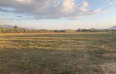 Ζευγολατιό