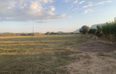 Ζευγολατιό