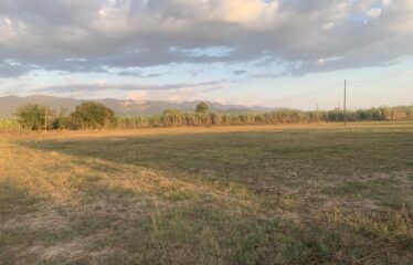 Ζευγολατιό