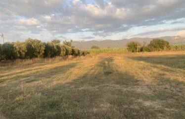 Ζευγολατιό