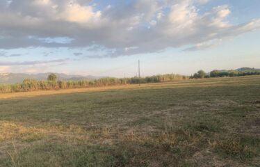 Ζευγολατιό