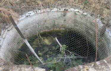 Ζευγολατιό