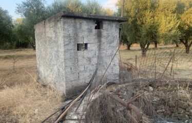 Ζευγολατιό