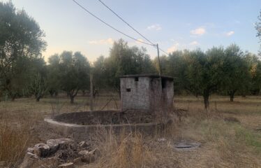 Ζευγολατιό