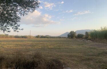 Ζευγολατιό