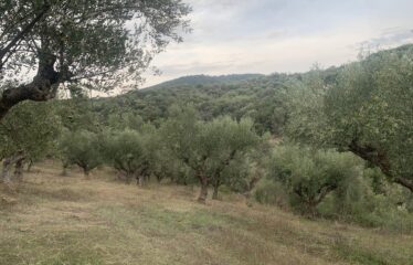 Αγροτεμάχιο με μικρή οικία