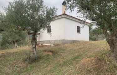 Αγροτεμάχιο με μικρή οικία