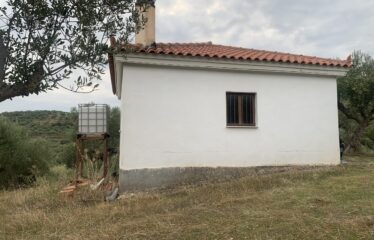 Αγροτεμάχιο με μικρή οικία