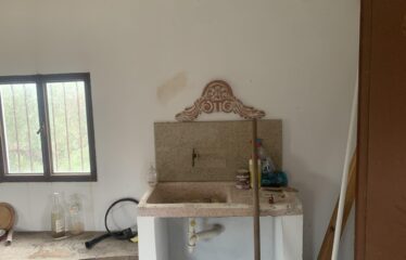 Αγροτεμάχιο με μικρή οικία