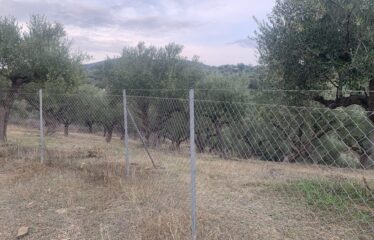 Αγροτεμάχιο με μικρή οικία