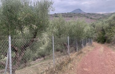 Αγροτεμάχιο με μικρή οικία