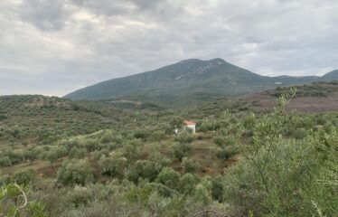 Αγροτεμάχιο με μικρή οικία